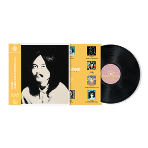 Hosono House Revisited